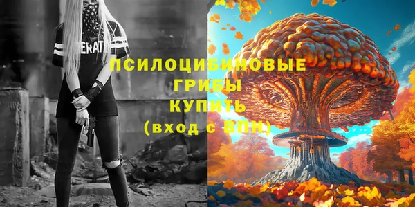 хмурый Куйбышев
