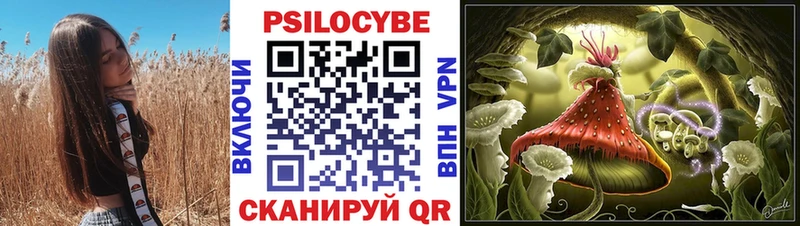 Галлюциногенные грибы GOLDEN TEACHER  Купить  Луга 